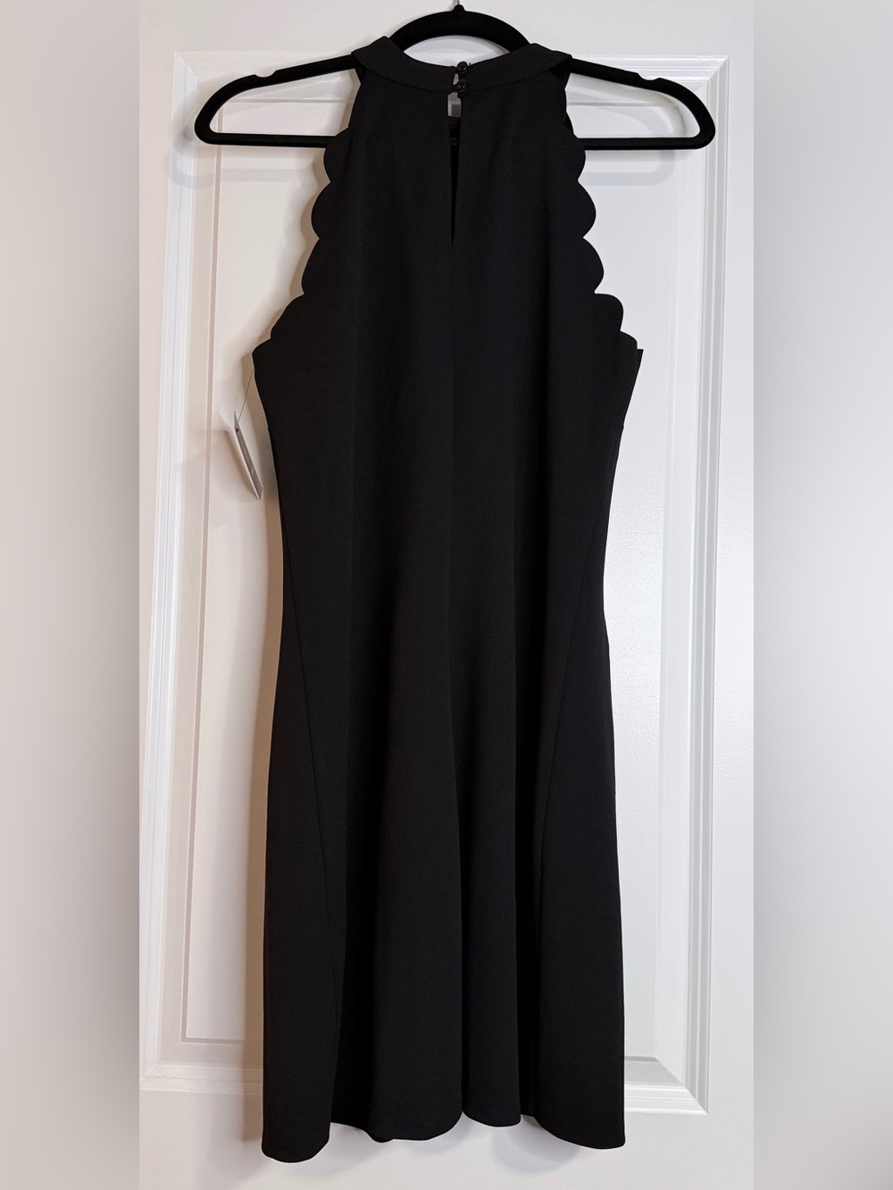 🆕 NWT Fortune + Ivy Marina Scallop Halter Neck Little Black Cocktail Dress - L - Picture 6 of 9
